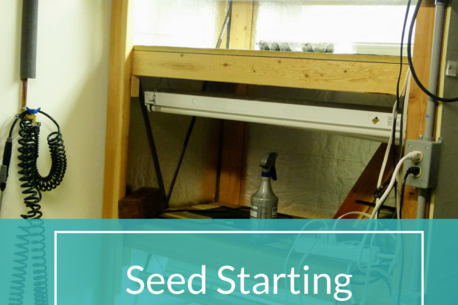 Seed Starting Setup | Horseradish & Honey