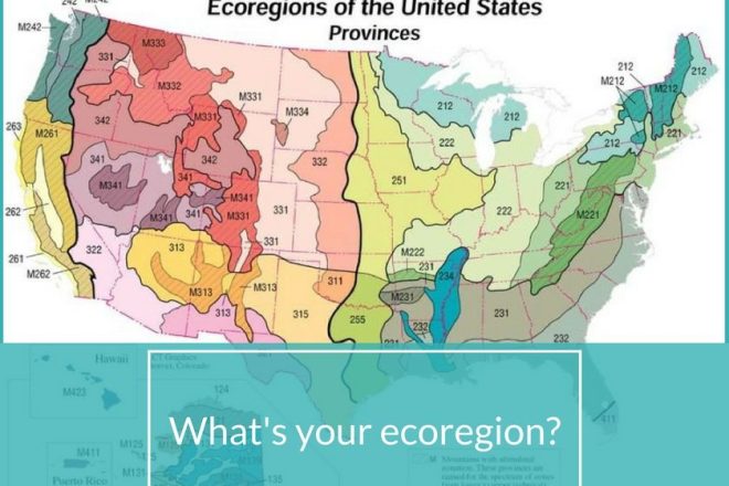 US Ecoregions | Horseradish & Honey