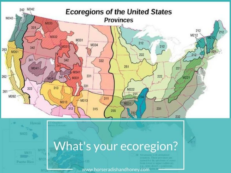 US Ecoregions | Horseradish & Honey