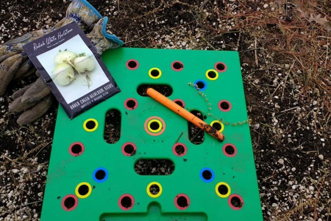 Three things I love for the garden right now: seeding square, white hailstone radishes, and really old garden gloves.