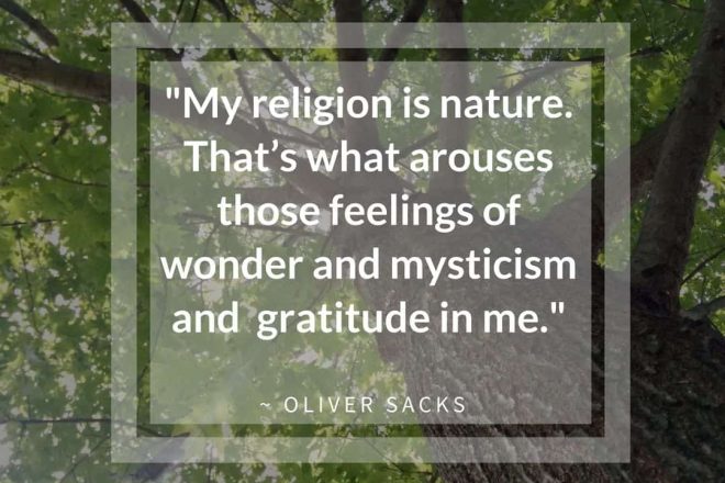 My Religion is Nature Oliver Sacks Quote | Horseradish & Honey