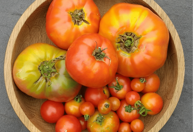 Early August Tomato Harvest | Horseradish & Honey