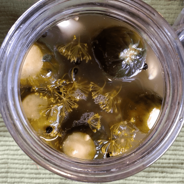 Fermented Pickles | Horseradish & Honey