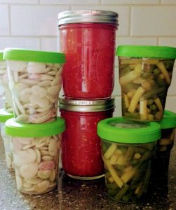 Small batch preserving: tomatoes, lima beans, green beans